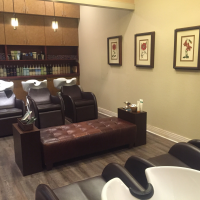 Best Hair Salon Near Short Pump Richmond Va Salon Del Sol